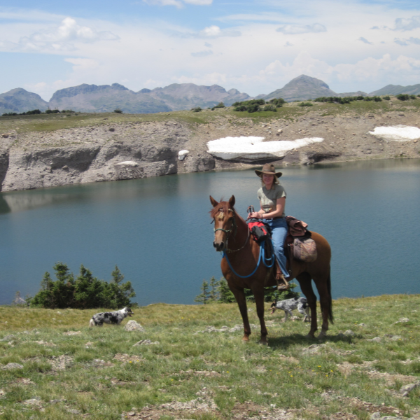 Glacier Lake In S. San Juan Wilderness