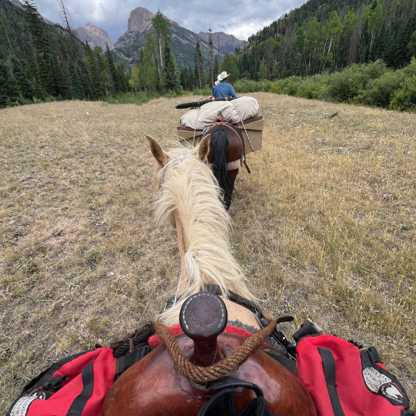 Vallecito Creek Drainage Packtrip