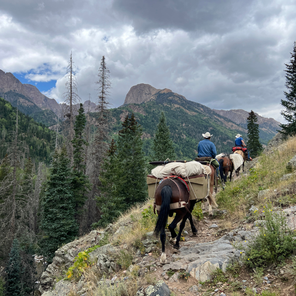 Vallecito Creek Drainage Packtrip 2025