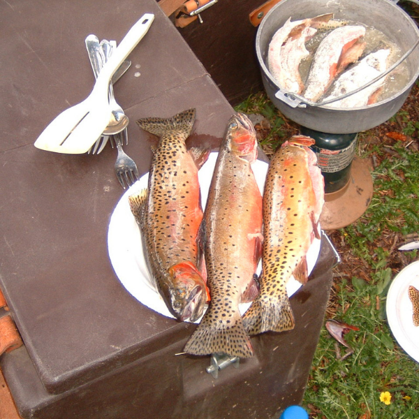 Dinner As It Should Be In The Mountains