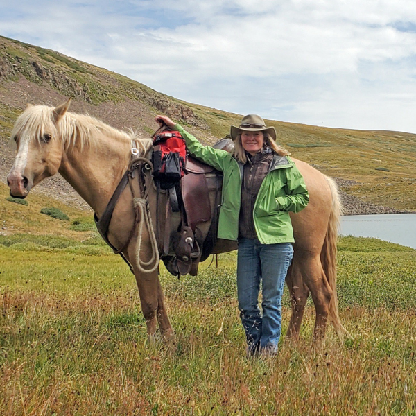 Timber Lake In S. San Juan Wilderness